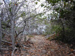 Grand Cayman Scuba Diving Location Queen's Highway, East End