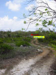 Grand Cayman Scuba Diving Location Queen's Highway, East End