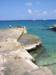 Grand Cayman Scuba Diving Location South Sound Blue Parrot