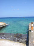 Grand Cayman Snorkeling Site South Sound Blue Parrot