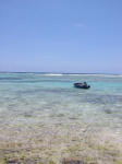 Grand Cayman Snorkeling Site Bodden Town 