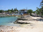 Grand Cayman Snorkeling Site George Town Cheese Burger Reef