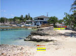 Grand Cayman Scuba Diving Location George Town Cheese Burger Reef