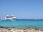 Grand Cayman Snorkeling Site George Town Cheese Burger Reef