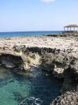 Grand Cayman Snorkeling Site West Bay Turtle Farm