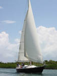 Grand Cayman Cruise Ship Excursions with Red Baron Charters