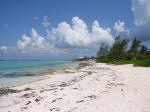 Grand Cayman Snorkeling Site Rum Point