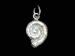 Silver Grand Cayman Sea Shell