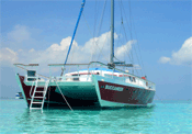 buccaneer stingray city trip in Cayman