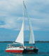 Grand Cayman stingray city sandbar snorkeling excursion