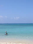 Grand Cayman Snorkeling Site West Bay Cemetary Beach