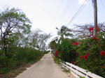 Grand Cayman Scuba Diving Location Pedro