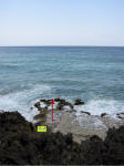 Grand Cayman Scuba Diving Location Pedro